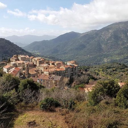 Casa Corsa Villa Santa-Lucia-di-Tallano Dış mekan fotoğraf